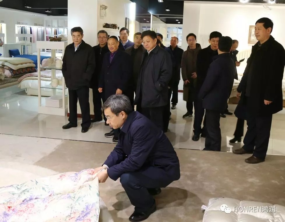 安徽省委常委、常務副省長鄧向陽到鴻潤視察