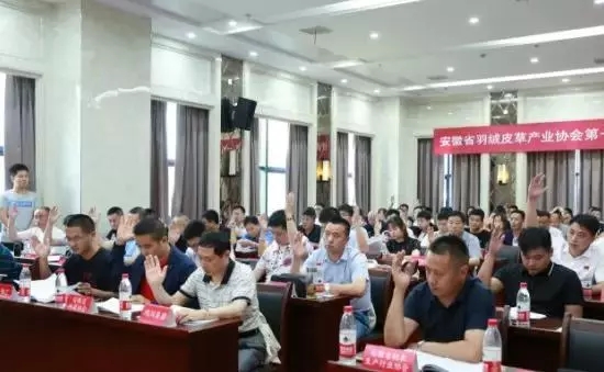 安徽省羽絨皮草產(chǎn)業(yè)協(xié)會(huì)成立，夏吉國(guó)總裁任第一屆理事會(huì)顧問(wèn)